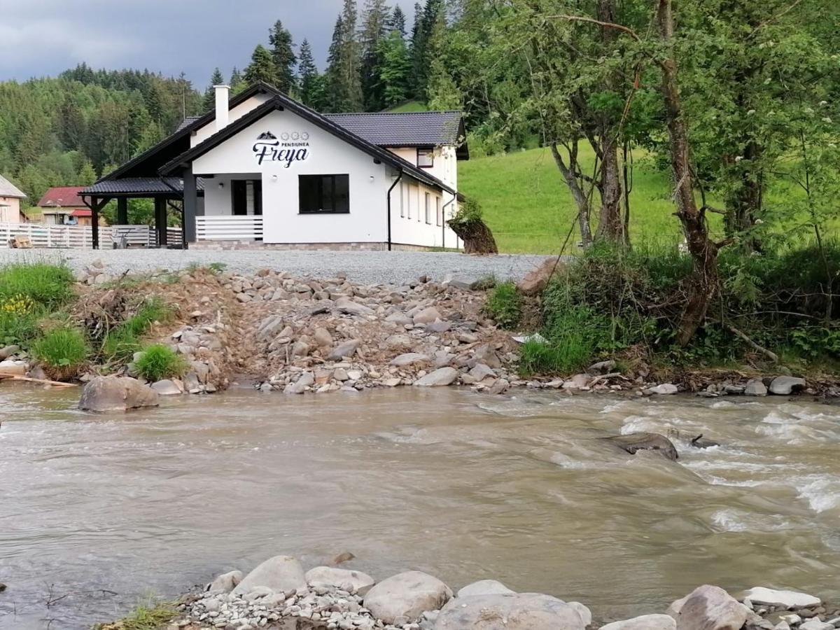 Pensiunea Freya Colibiţa Dış mekan fotoğraf